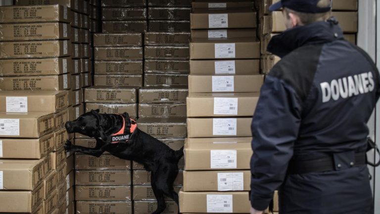 70 kg de cocaïne saisies à Marseille en provenance de la Martinique.