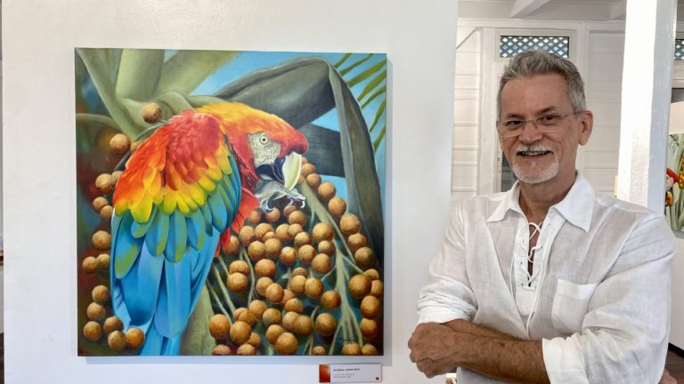 « Couleurs Plume » : une exposition colorée pour l'artiste brésilien Vanderlei Fracalossi | © Mo News