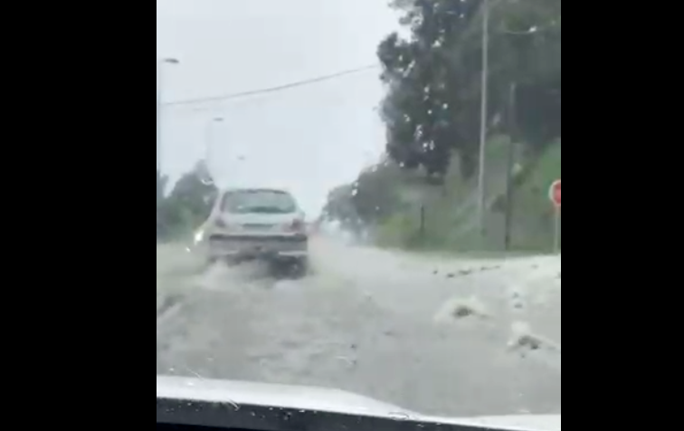 Tempête Fiona, retour au vert après le désastre