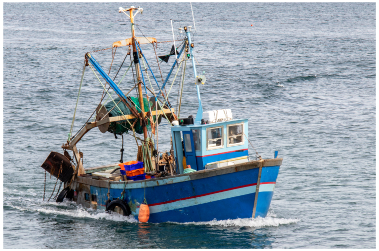 Le Comité de pêche reçu par la CTM