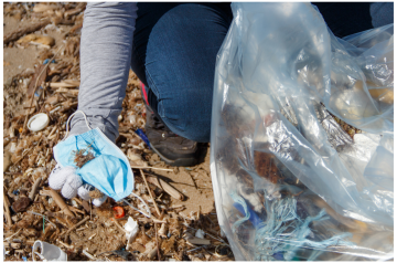 Plusieurs kilos de déchets ramassés dans la mangrove de Raizet