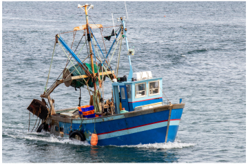 Le Comité de pêche reçu par la CTM